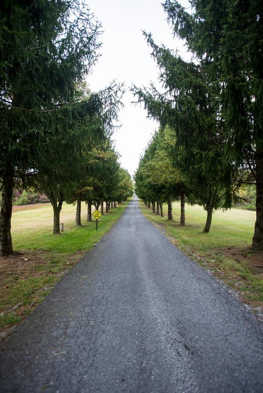 Antietam Overlook Farm Rohrersville Exterior foto